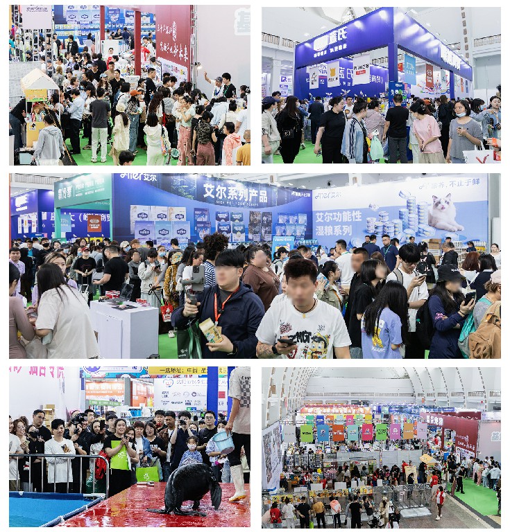 1764657543721237.jpg 微信图片_20250604111336 拷贝 2(合并)~1.jpg