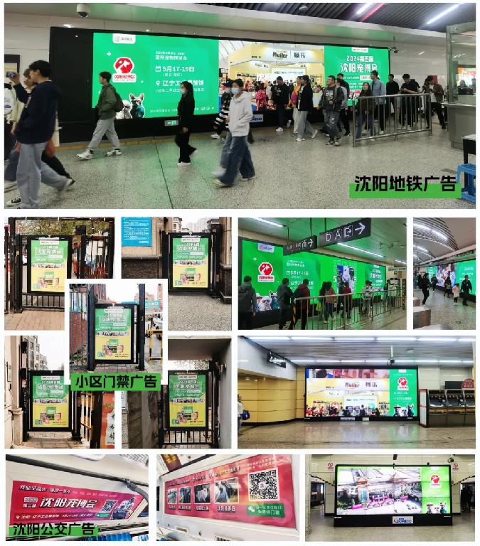 1764658257115526.jpg 11110.jpg