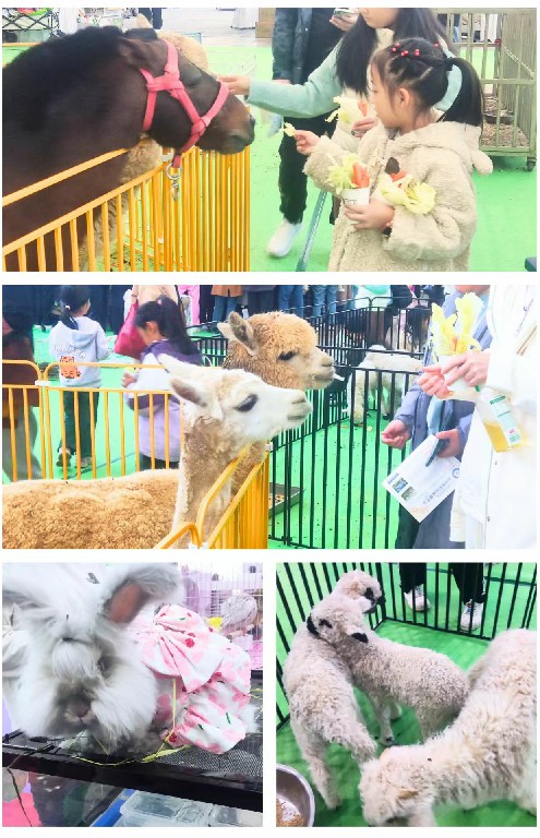 1764659460154156.jpg 微信图片_20251104153556_106_63~1.jpg